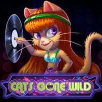 Cats gone wild